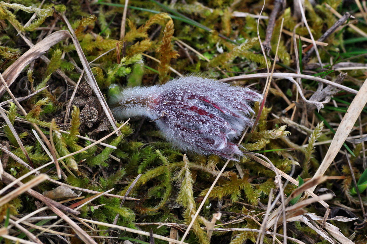 2015_03_10_00015814_Bildgr��e �ndern