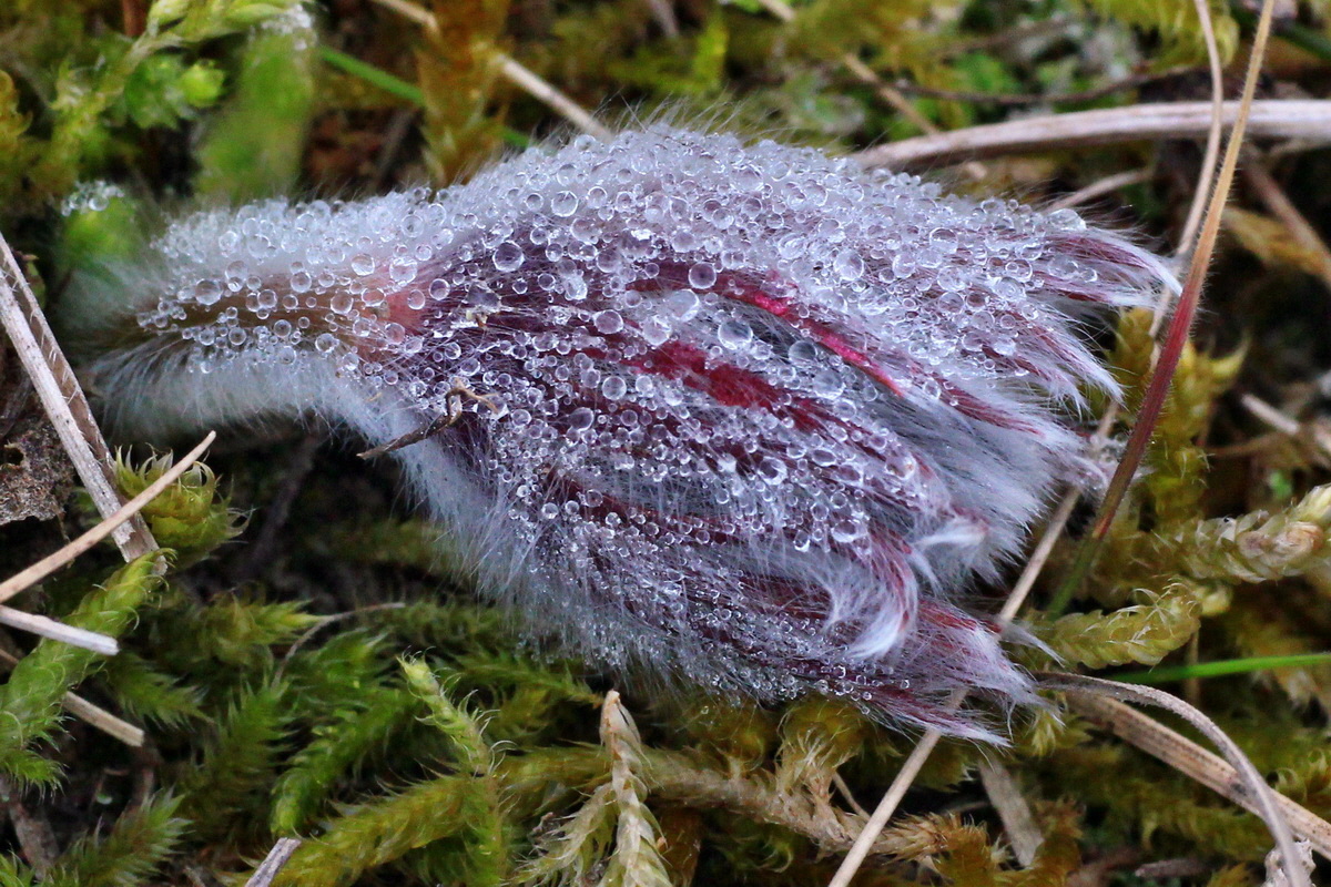 2015_03_10_00015814a_Bildgr��e �ndern