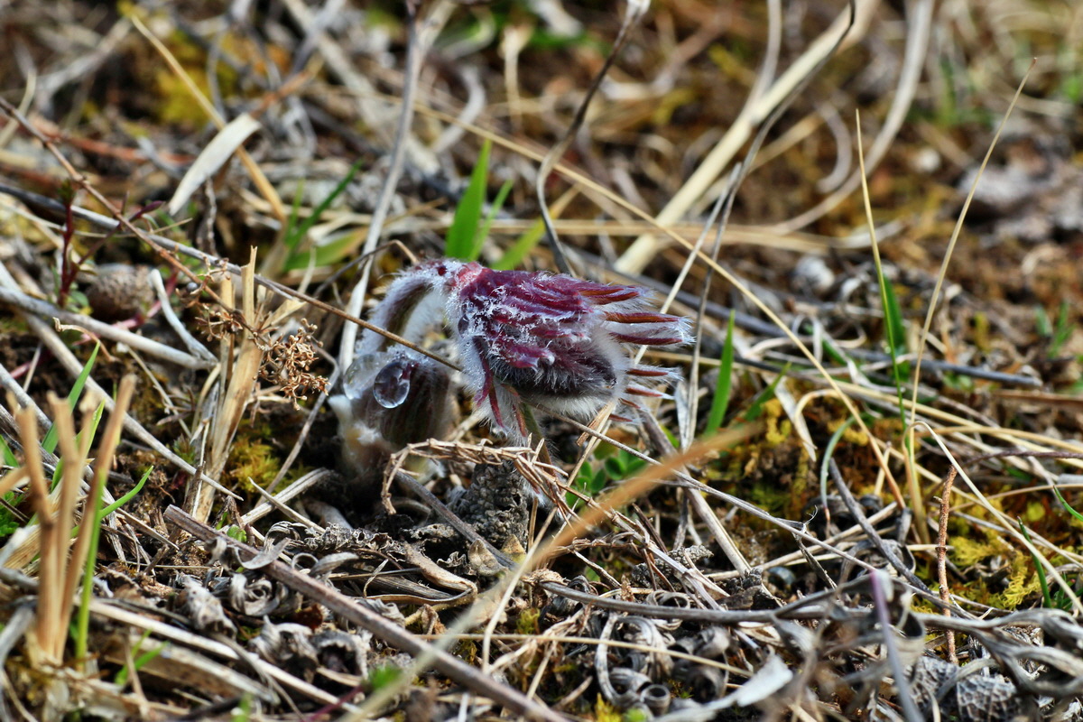 2015_03_16_00015817_Bildgr��e �ndern