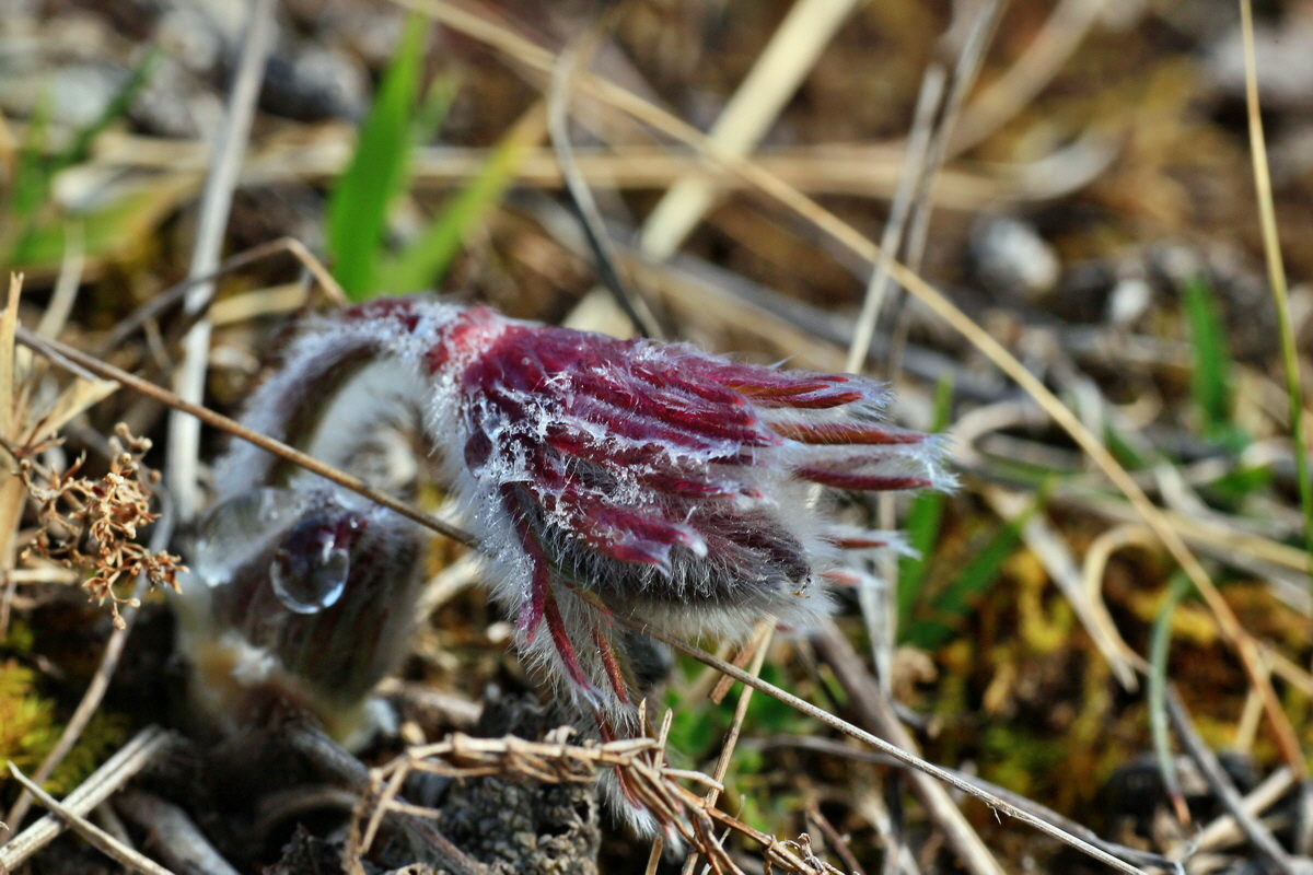 2015_03_16_00015821_Bildgr��e �ndern