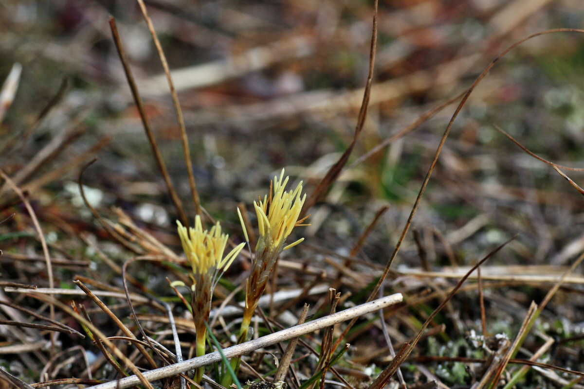 2015_03_16_00015825_Bildgr��e �ndern