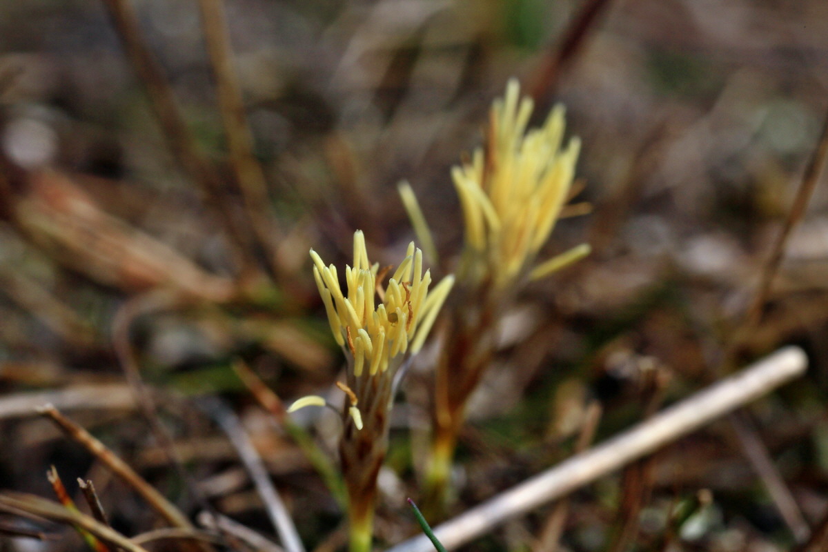 2015_03_16_00015828_Bildgr��e �ndern