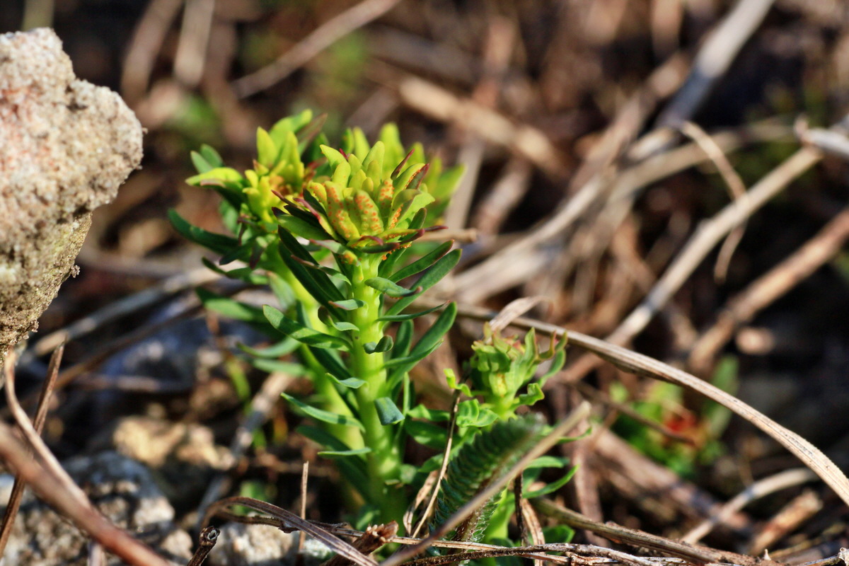 2015_03_17_00015839_Bildgr��e �ndern