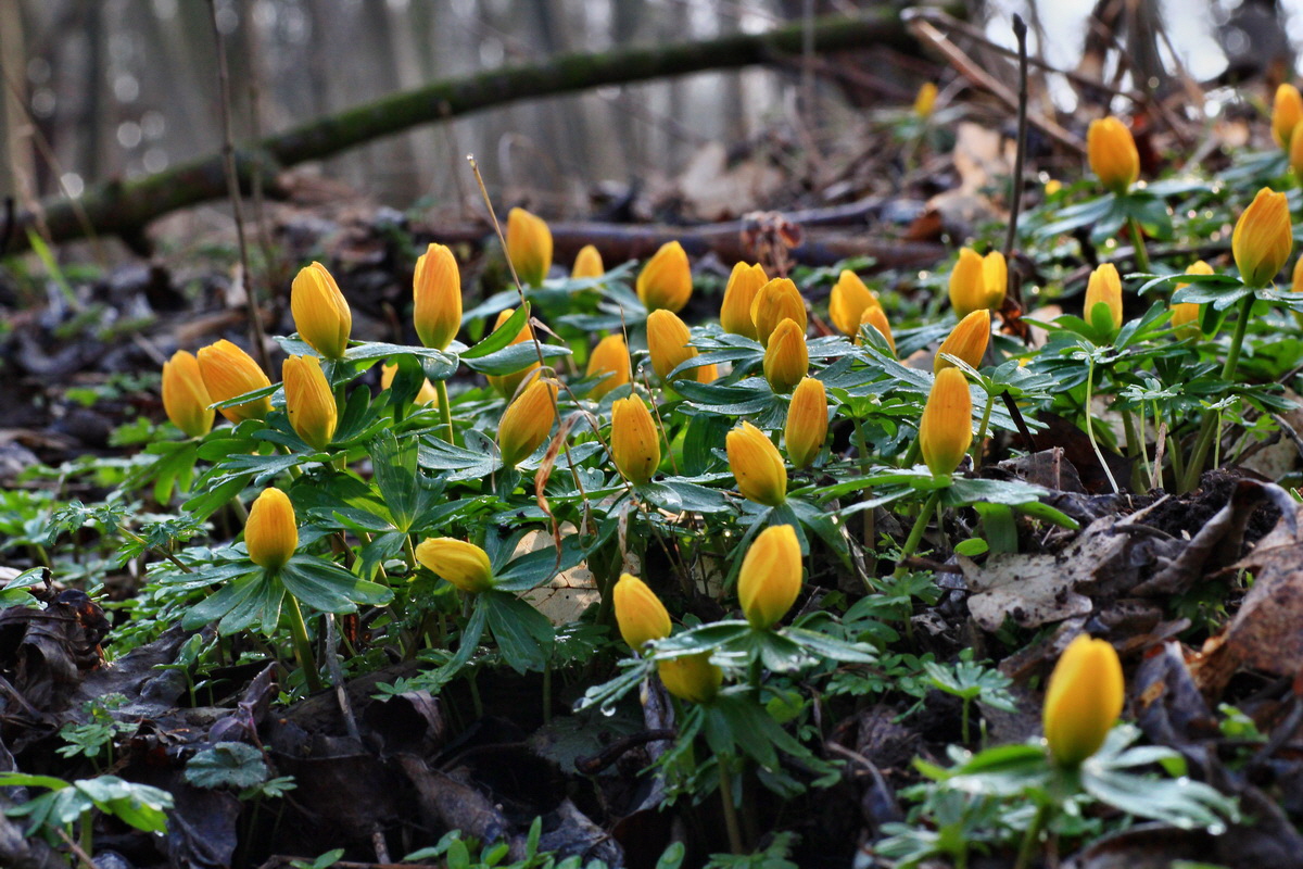 2015_03_17_00015845_Bildgr��e �ndern