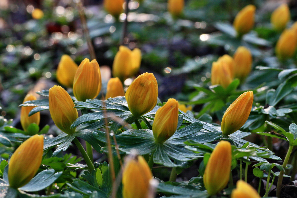 2015_03_17_00015851_Bildgr��e �ndern