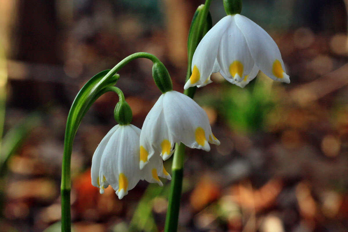 2015_03_17_00015852_Bildgr��e �ndern