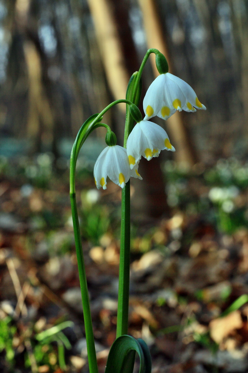 2015_03_17_00015855_Bildgr��e �ndern