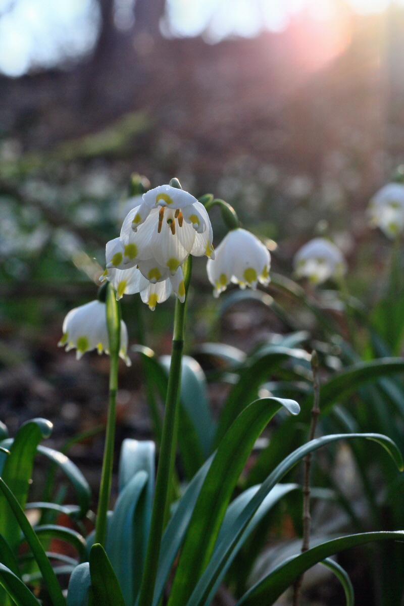 2015_03_17_00015857_Bildgr��e �ndern