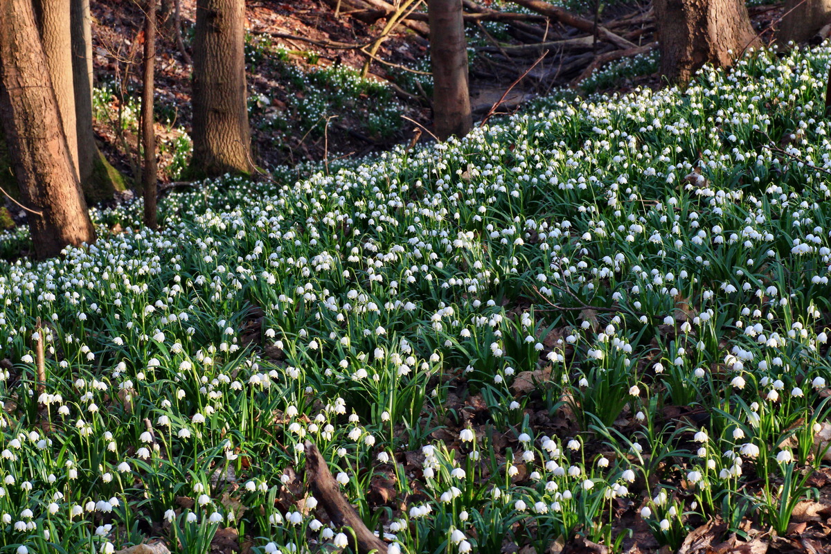 2015_03_17_00015861_Bildgr��e �ndern