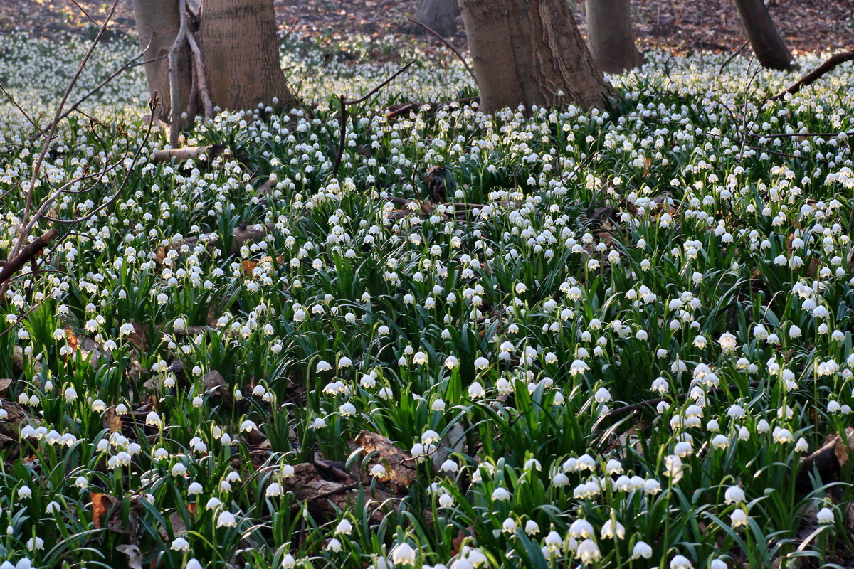 2015_03_17_00015864_Bildgr��e �ndern