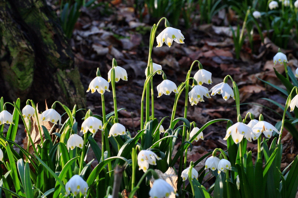 2015_03_17_00015868_Bildgr��e �ndern