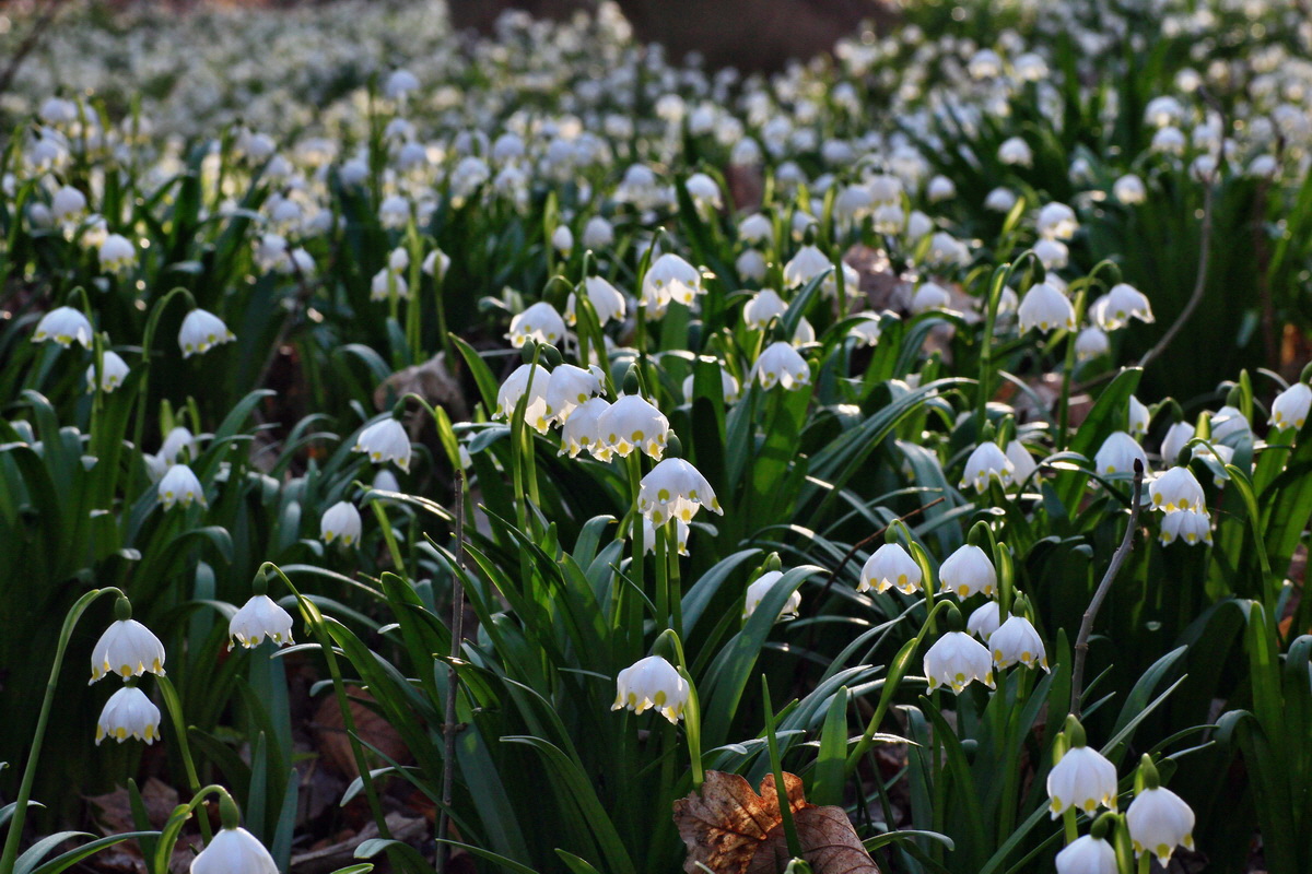 2015_03_17_00015873_Bildgr��e �ndern