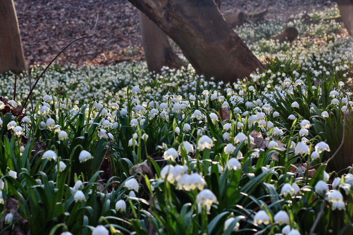 2015_03_17_00015876_Bildgr��e �ndern