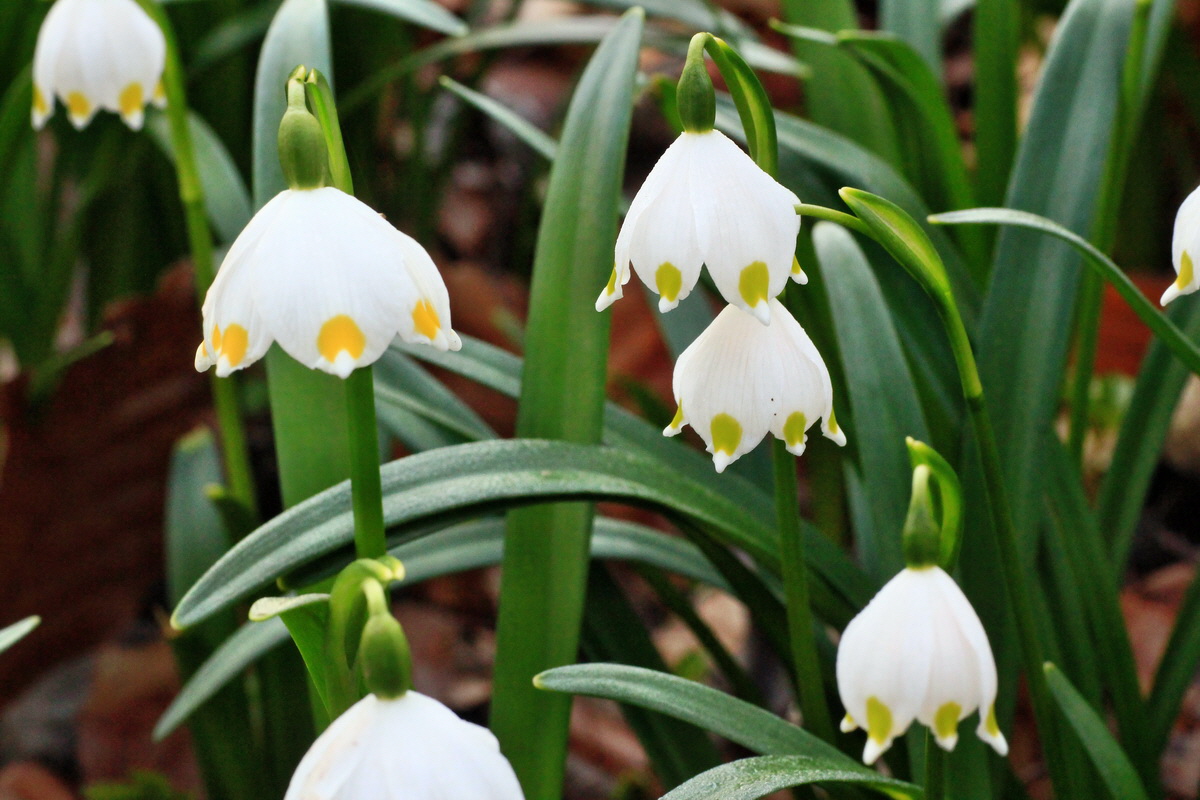 2015_03_17_00015879_Bildgr��e �ndern