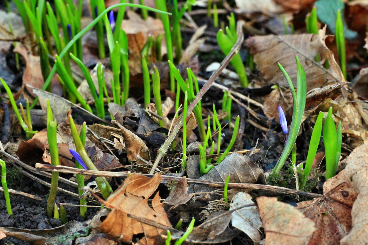 2015_03_17_00015881_Bildgr��e �ndern