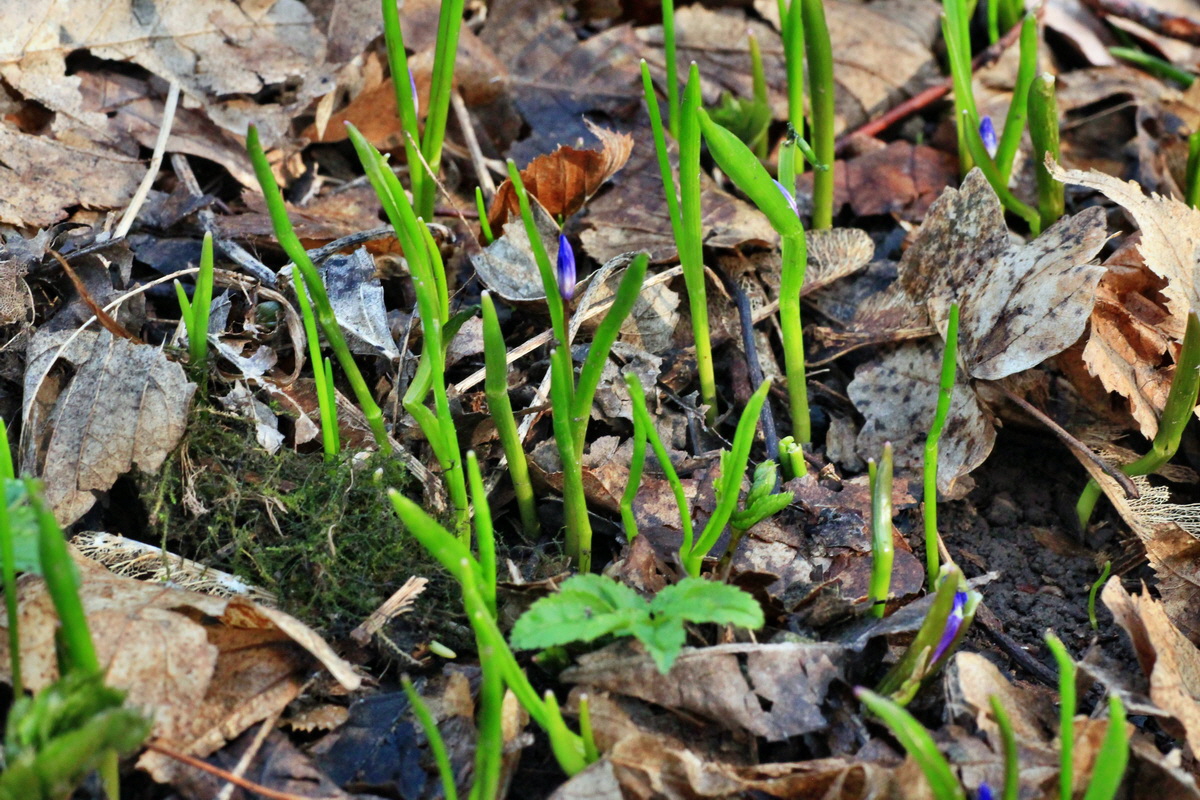 2015_03_17_00015883_Bildgr��e �ndern