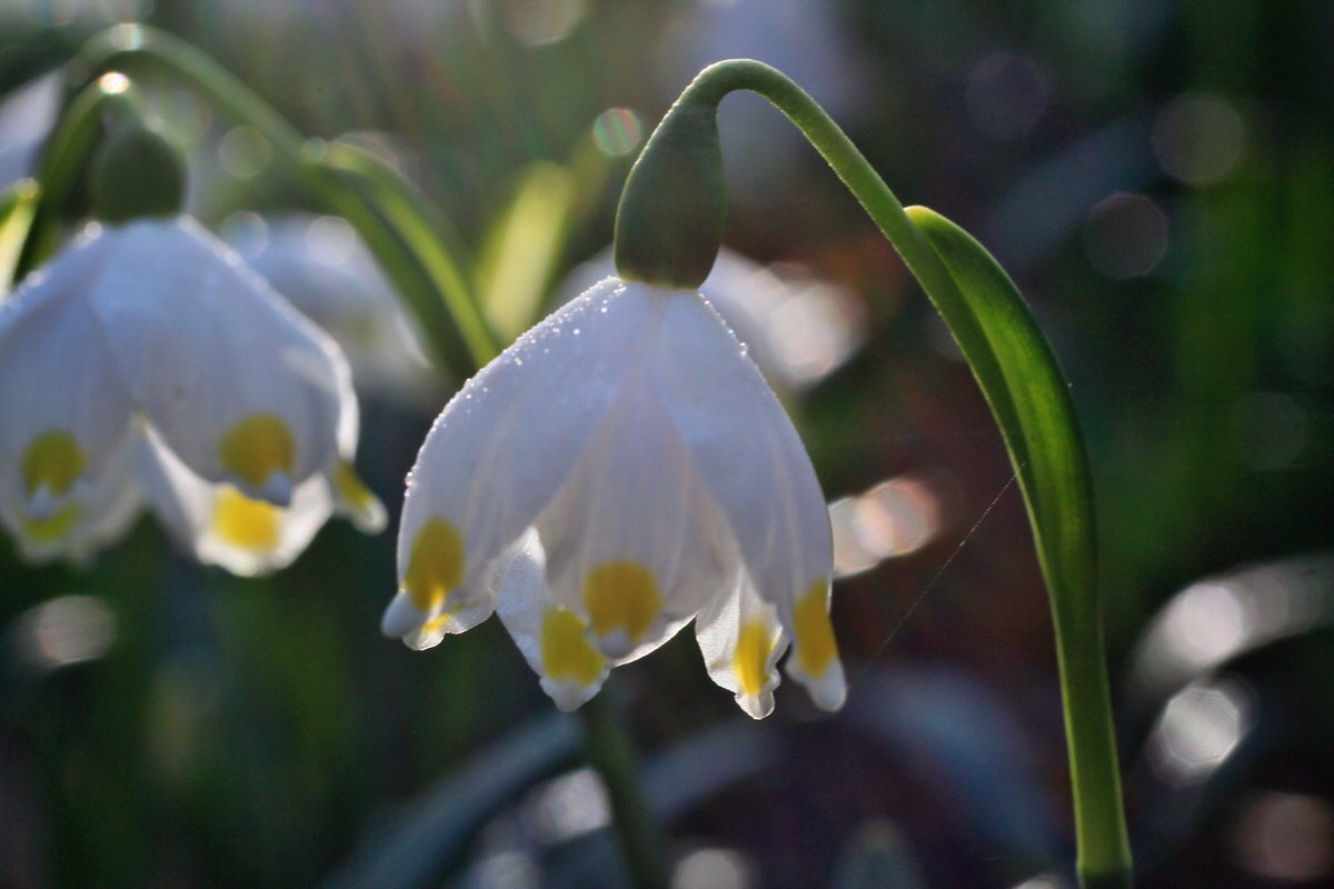 2015_03_17_00015886_Bildgr��e �ndern