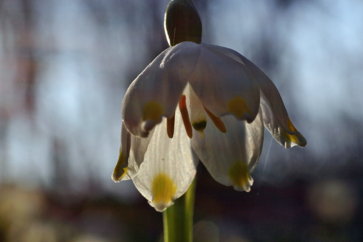 2015_03_17_00015889_Bildgr��e �ndern