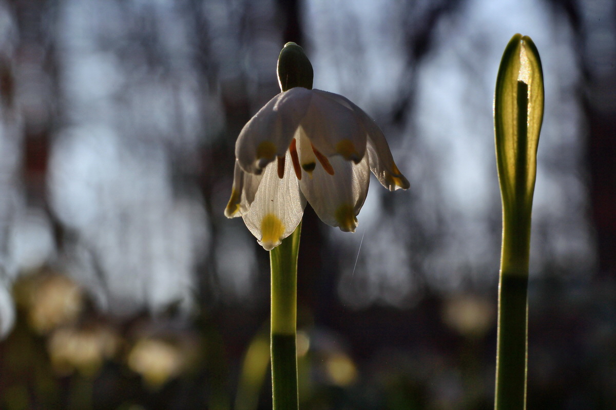 2015_03_17_00015891_Bildgr��e �ndern