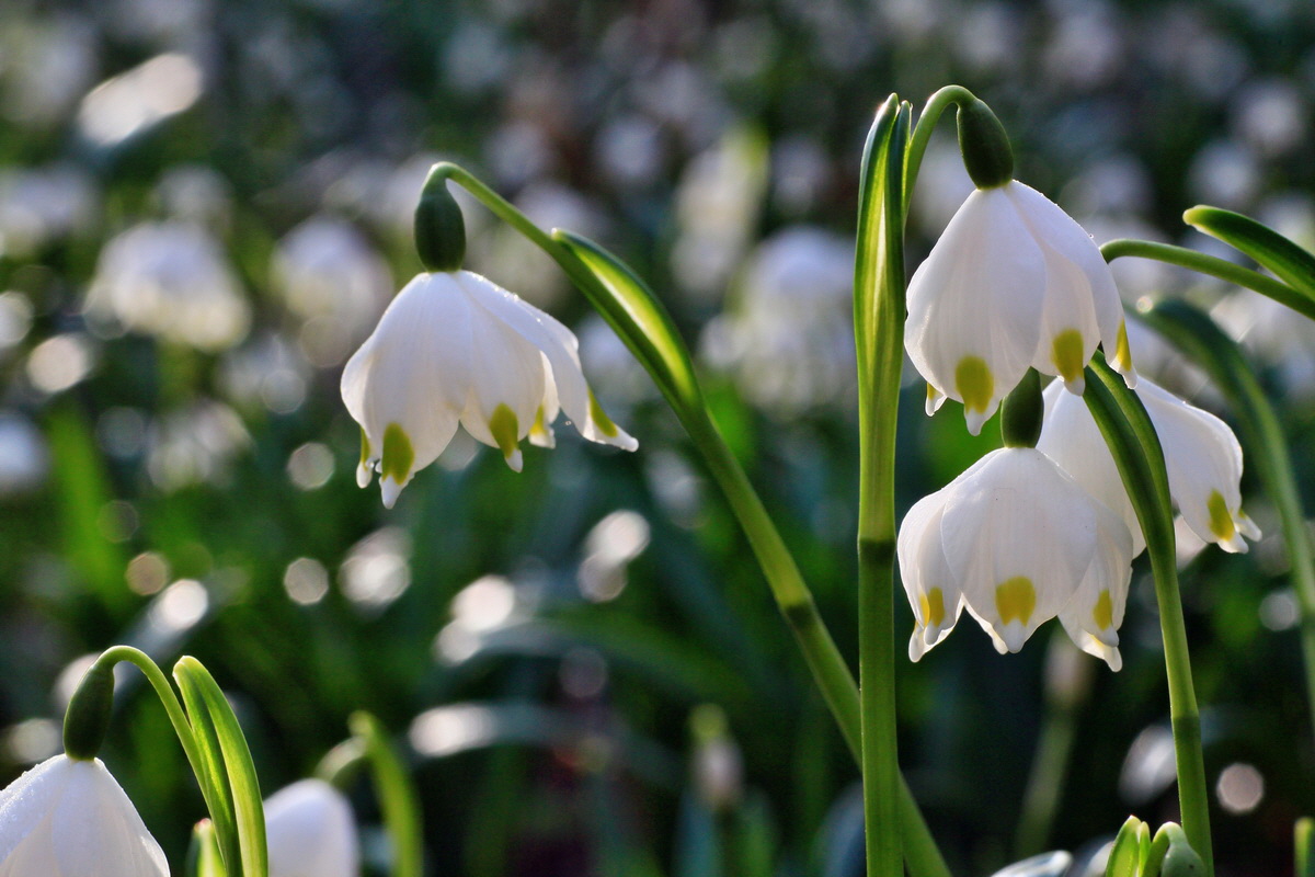 2015_03_17_00015897_Bildgr��e �ndern