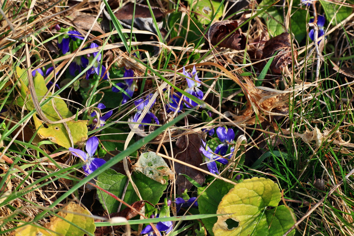 2015_03_17_00015899_Bildgr��e �ndern