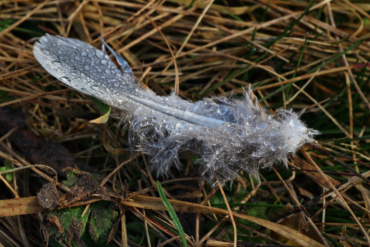 2015_03_17_00015902_Bildgr��e �ndern