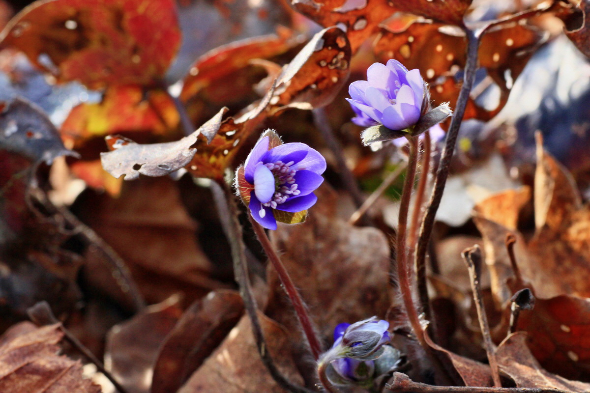 2015_03_17_00015906_Bildgr��e �ndern