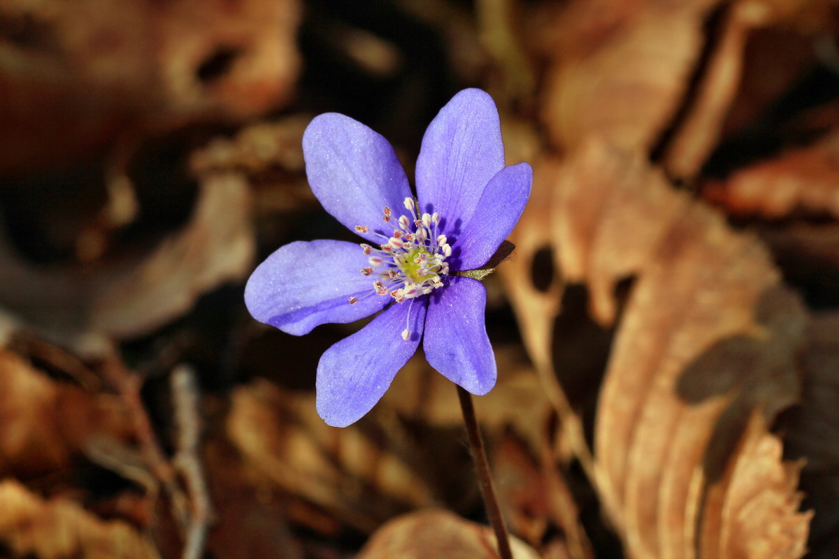 2015_03_17_00015912_Bildgr��e �ndern