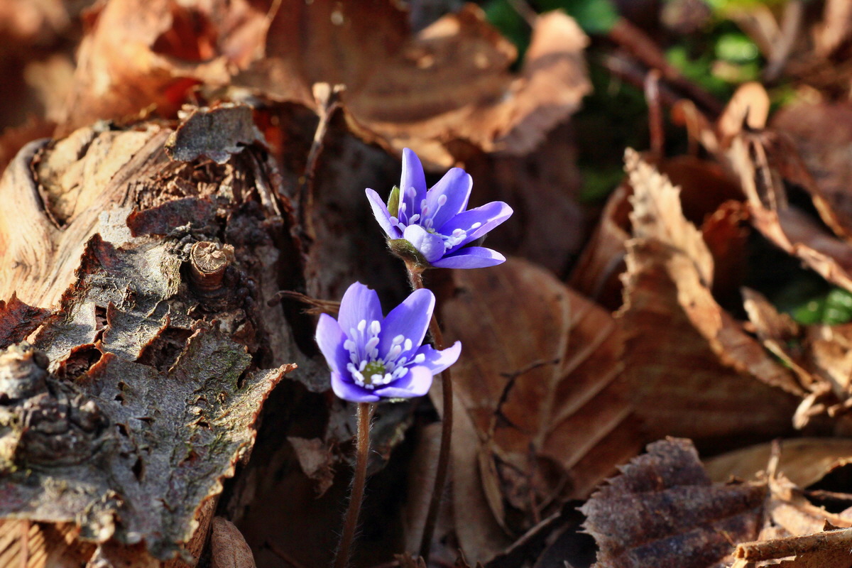 2015_03_17_00015915_Bildgr��e �ndern