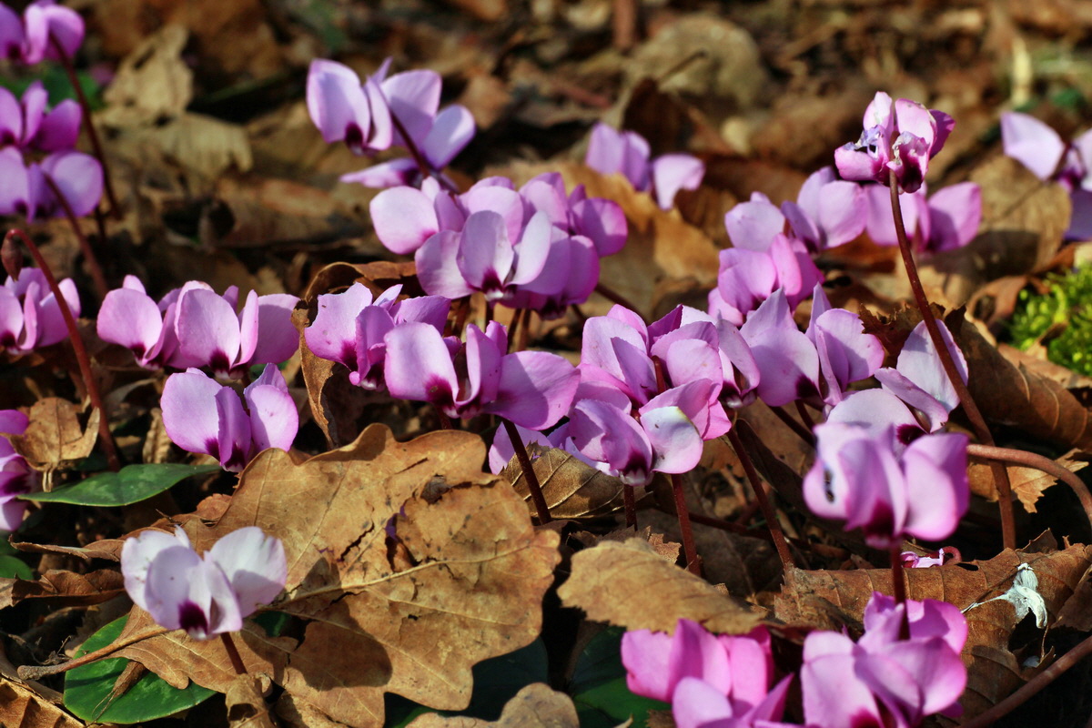 2015_03_17_00015918_Bildgr��e �ndern