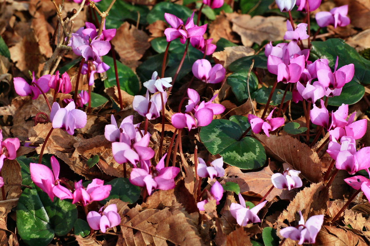 2015_03_17_00015922_Bildgr��e �ndern