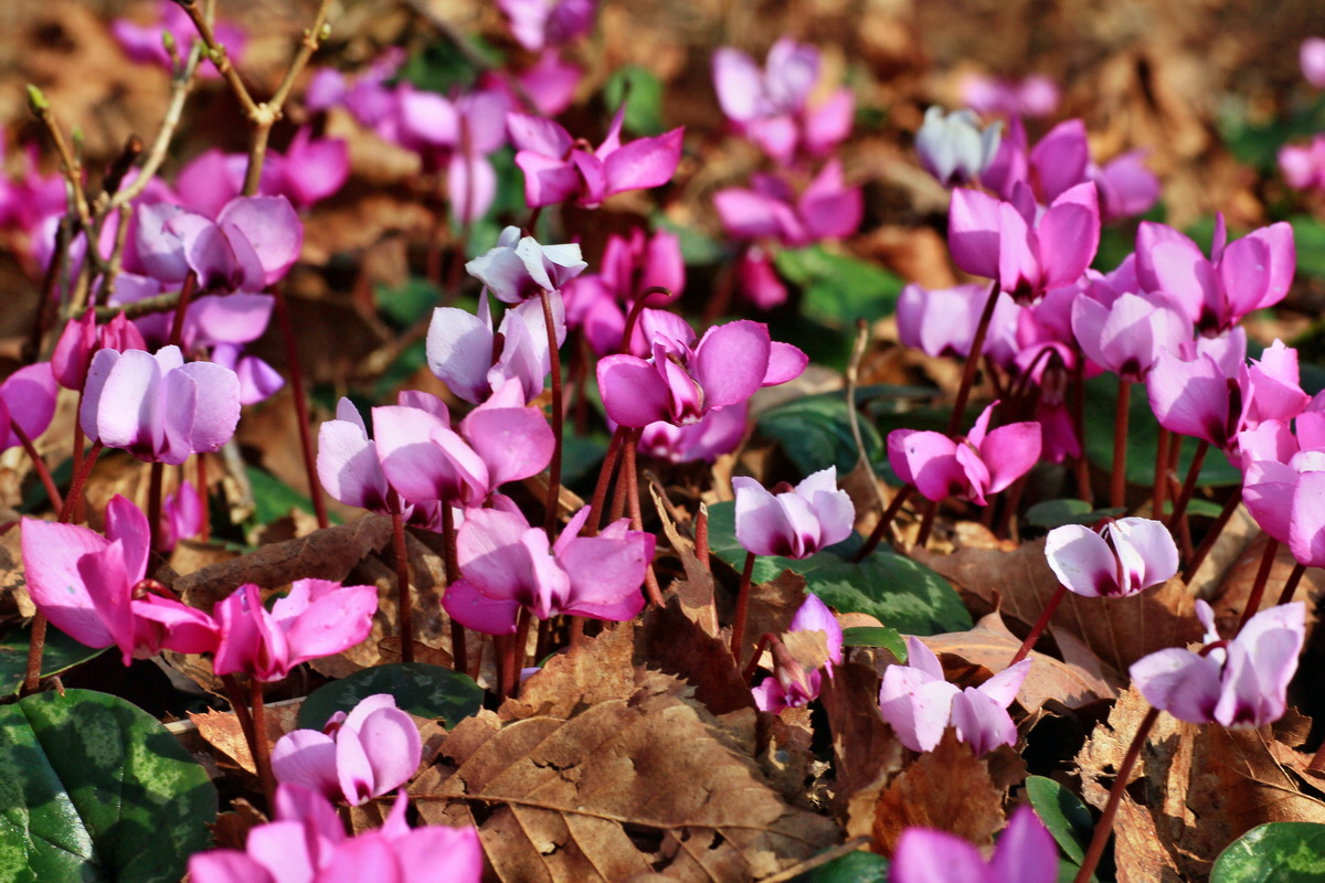 2015_03_17_00015924_Bildgr��e �ndern