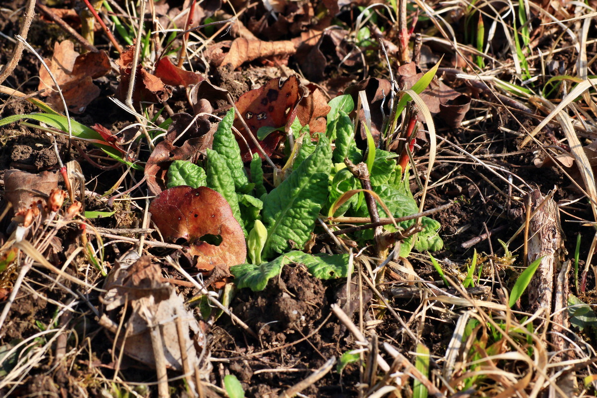 2015_03_17_00015947_Bildgr��e �ndern