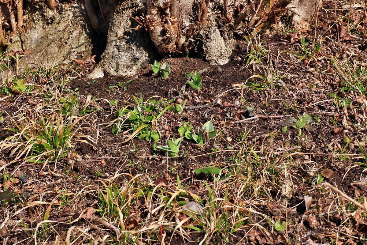 2015_03_17_00015949_Bildgr��e �ndern