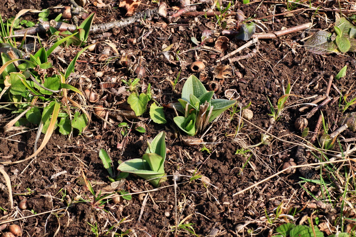 2015_03_17_00015952_Bildgr��e �ndern