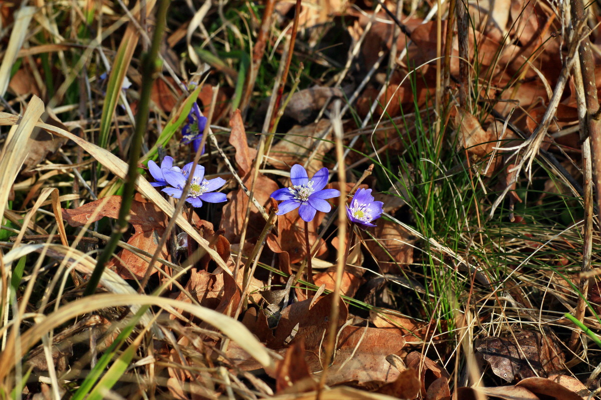 2015_03_17_00015959_Bildgr��e �ndern