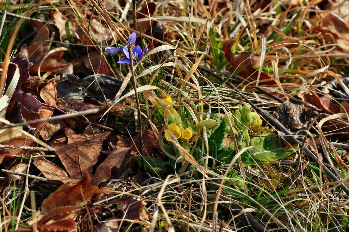 2015_03_17_00015961_Bildgr��e �ndern