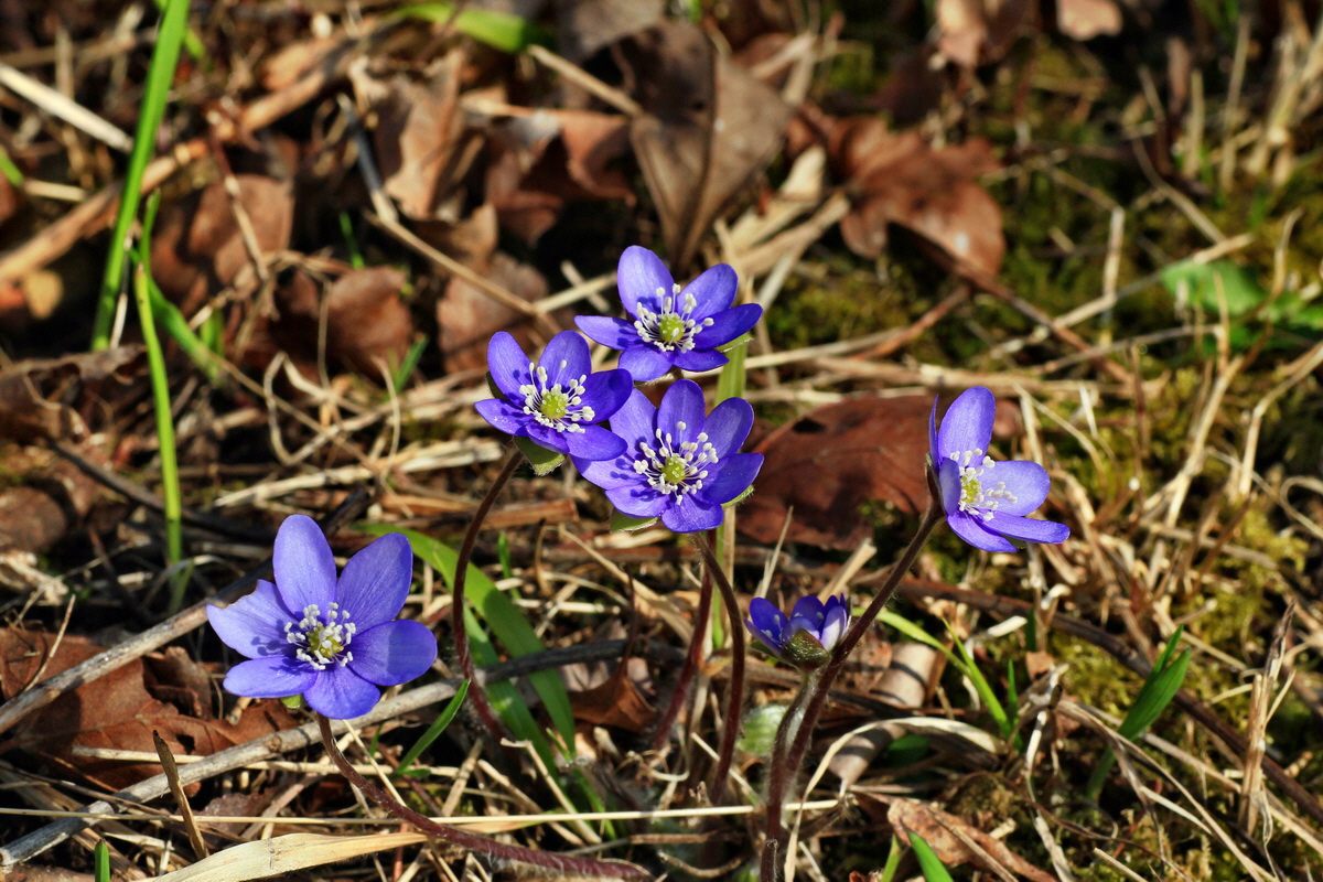 2015_03_17_00015965_Bildgr��e �ndern