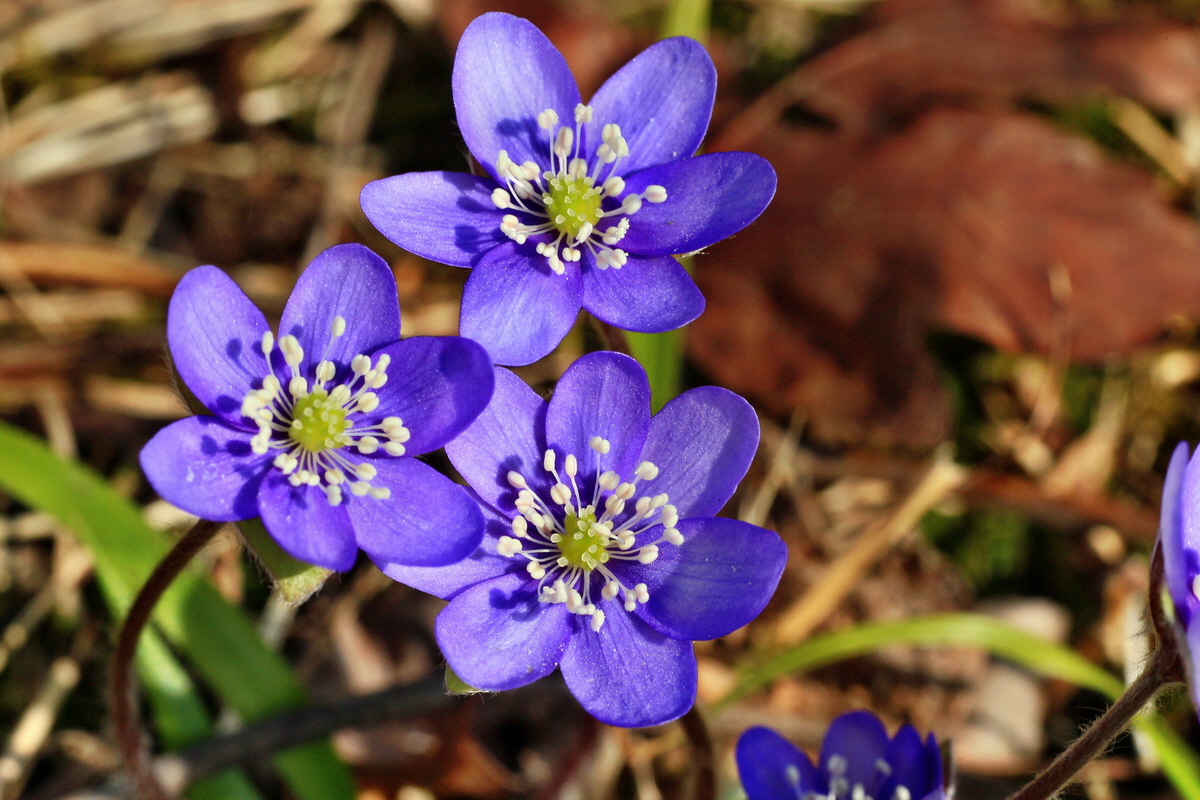 2015_03_17_00015968_Bildgr��e �ndern