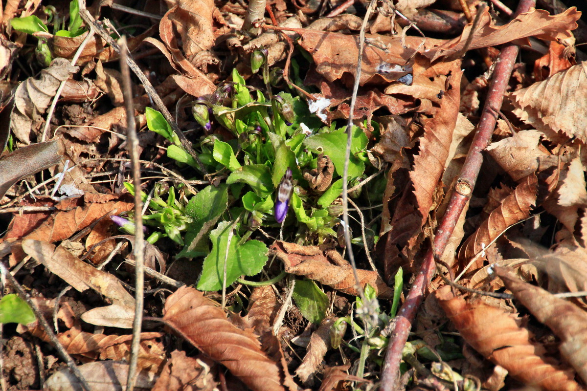 2015_03_17_00015973_Bildgr��e �ndern