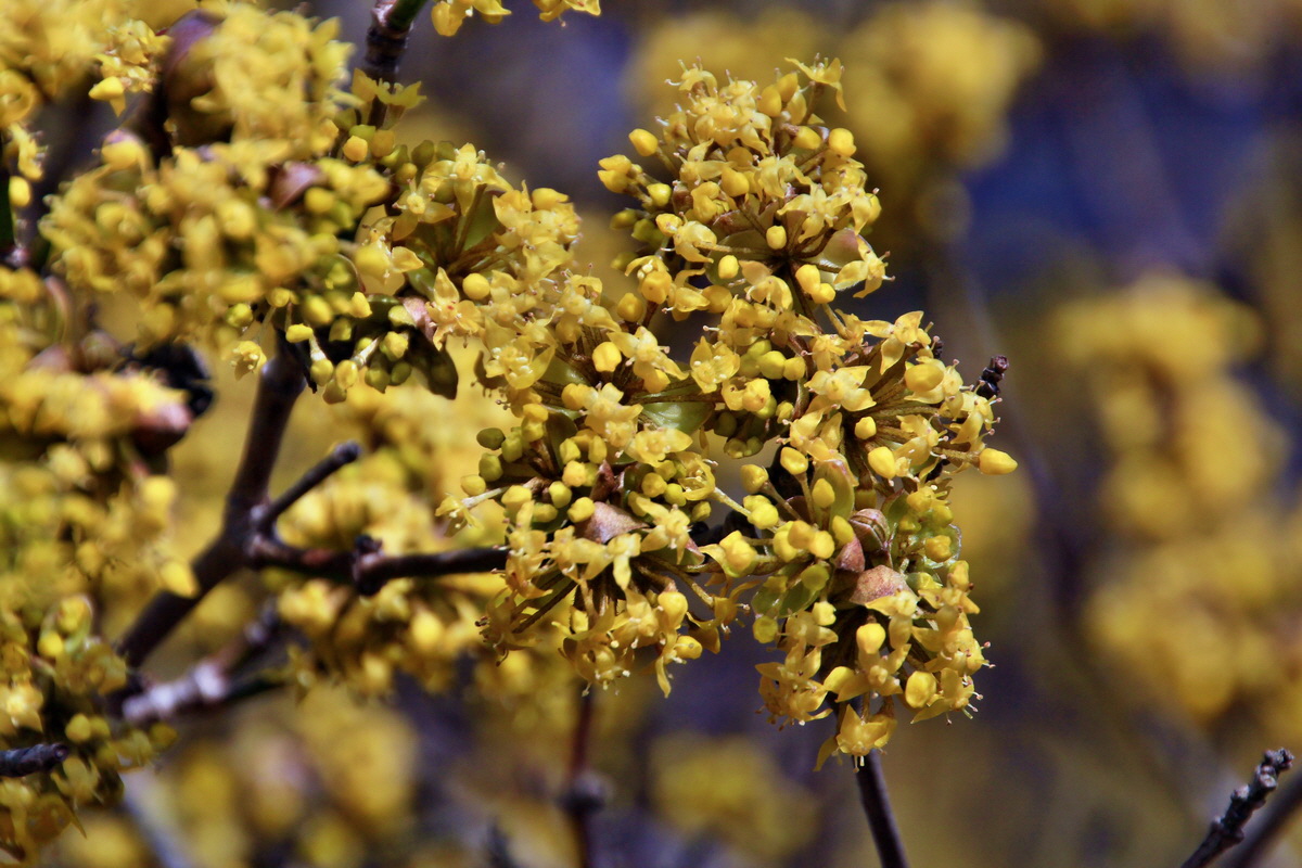 2015_03_17_00015974_Bildgr��e �ndern