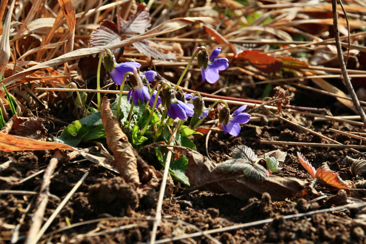 2015_03_17_00015977_Bildgr��e �ndern