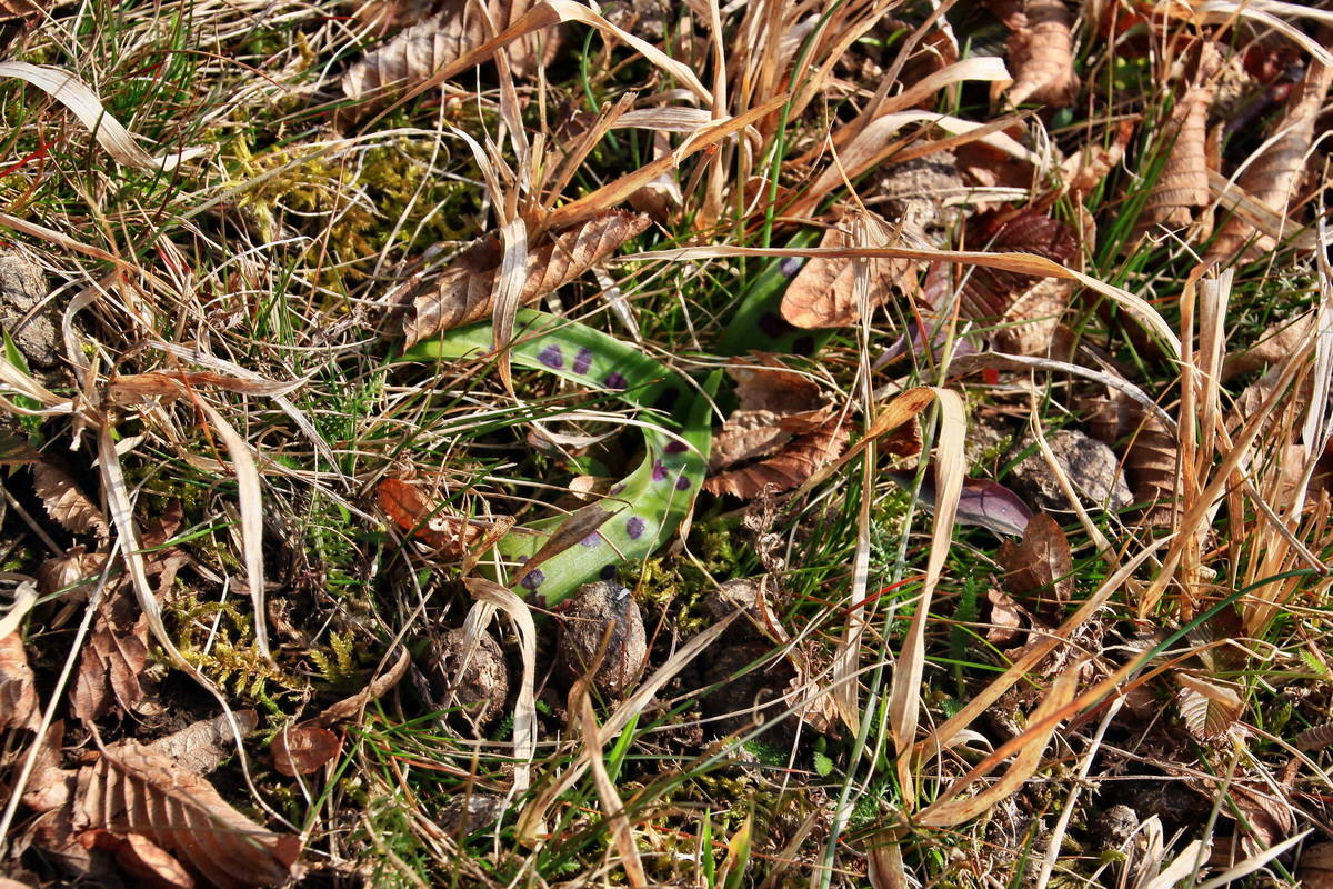 2015_03_17_00015980_Bildgr��e �ndern