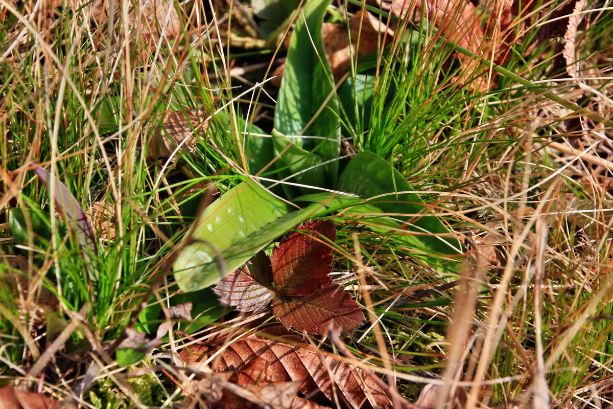 2015_03_17_00015981_Bildgr��e �ndern