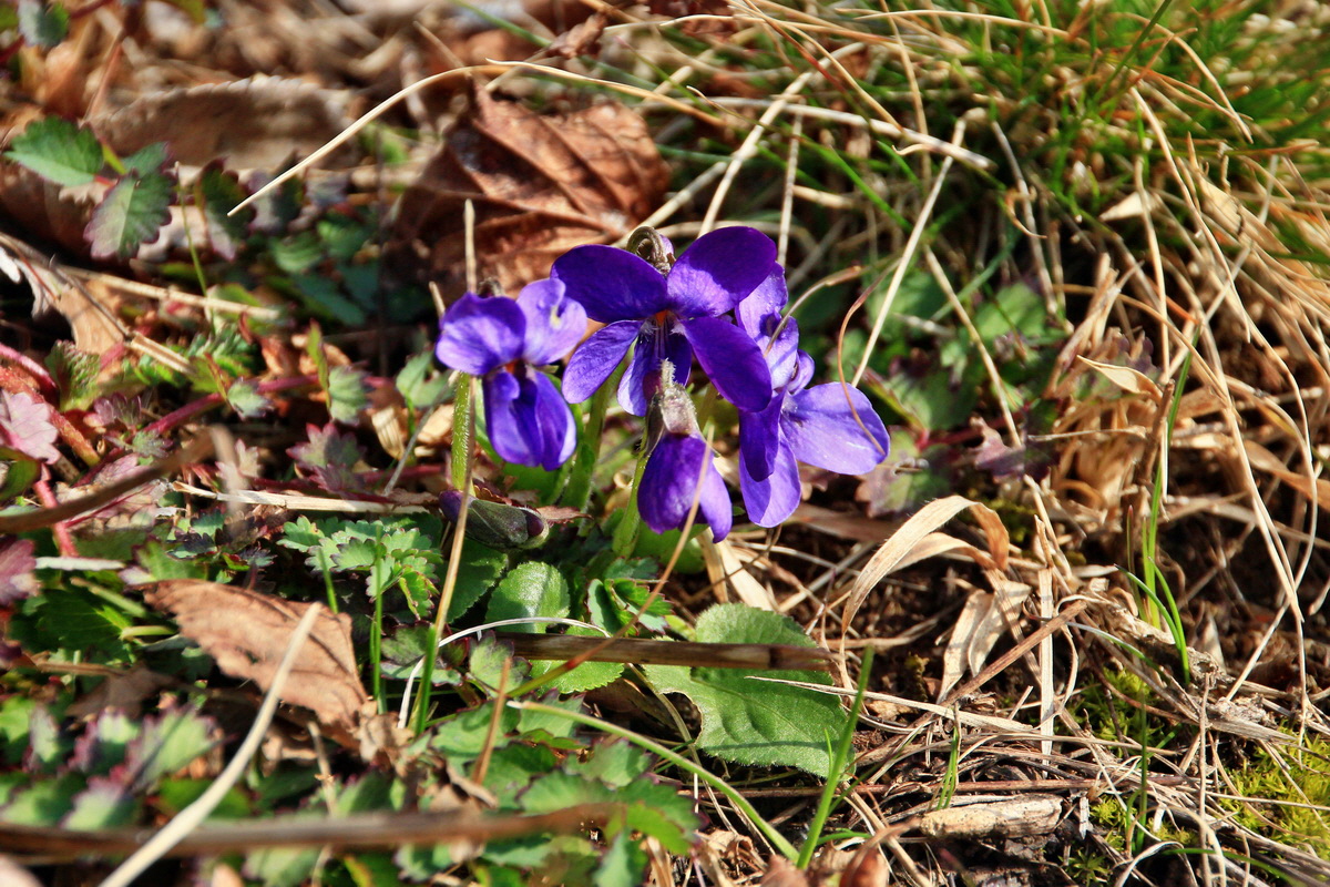 2015_03_17_00015983_Bildgr��e �ndern