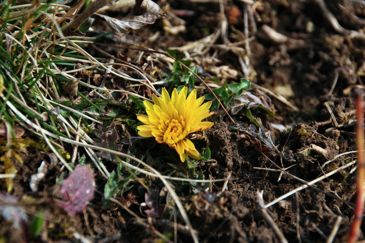 2015_03_17_00015988_Bildgr��e �ndern