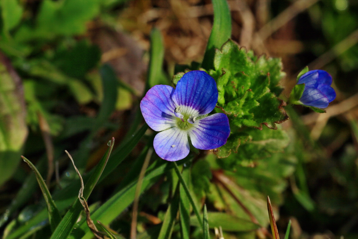 2015_03_17_00015990_Bildgr��e �ndern