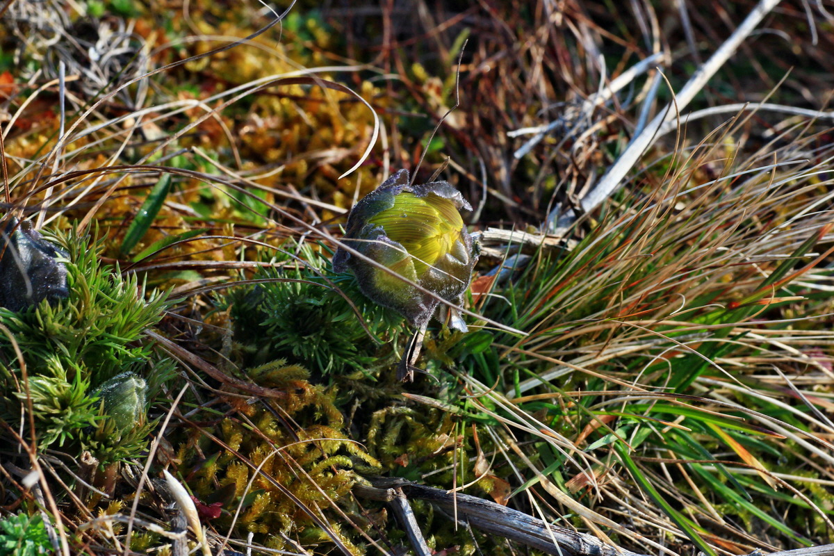 2015_03_19_00016002_Bildgr��e �ndern