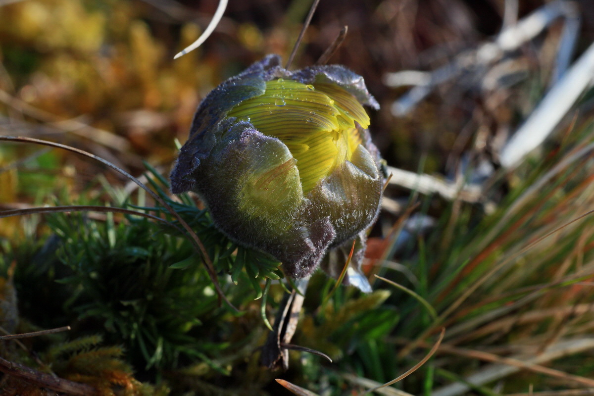 2015_03_19_00016004_Bildgr��e �ndern