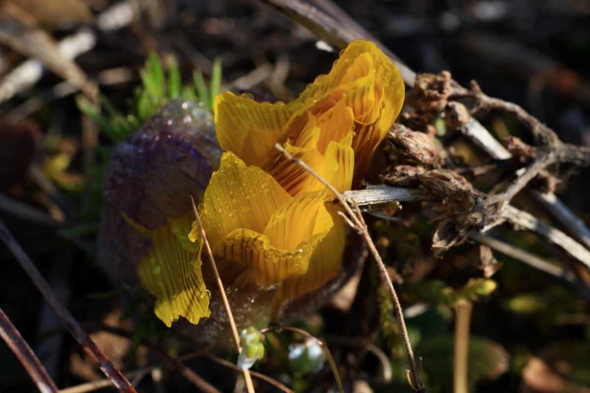 2015_03_19_00016010_Bildgr��e �ndern